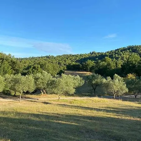 Le Jas Des Cannebieres *